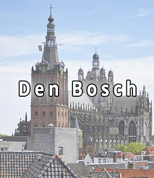 Stripper huren in Den Bosch